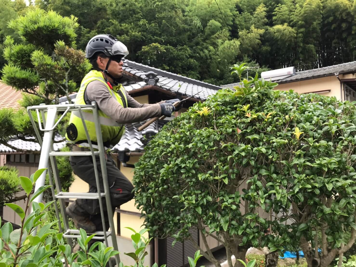 一本一本丁寧に剪定させて頂きます！